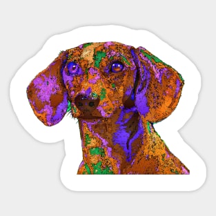 Chloe. Pet series Sticker